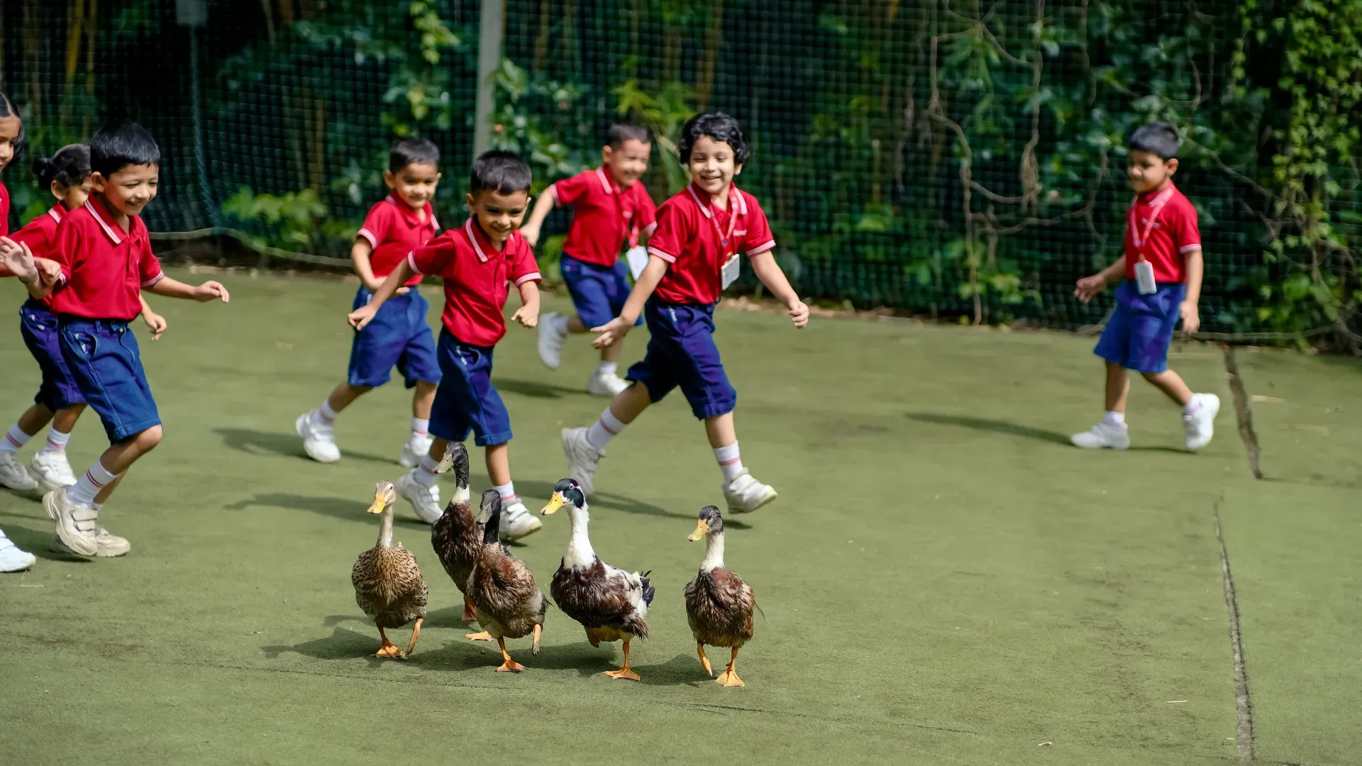 Pet Therapy Activity 1